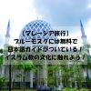 【マレーシア旅行】ブルーモスクには無料で日本語ガイドがついている！イスラム教の文