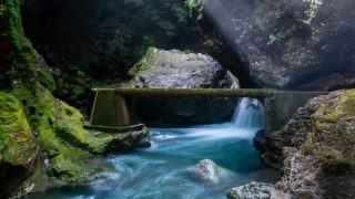 Thumbnail of post image 047