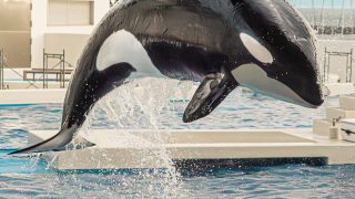 Thumbnail of post image 090