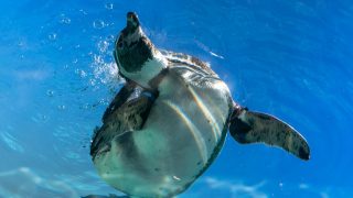 Thumbnail of post image 020